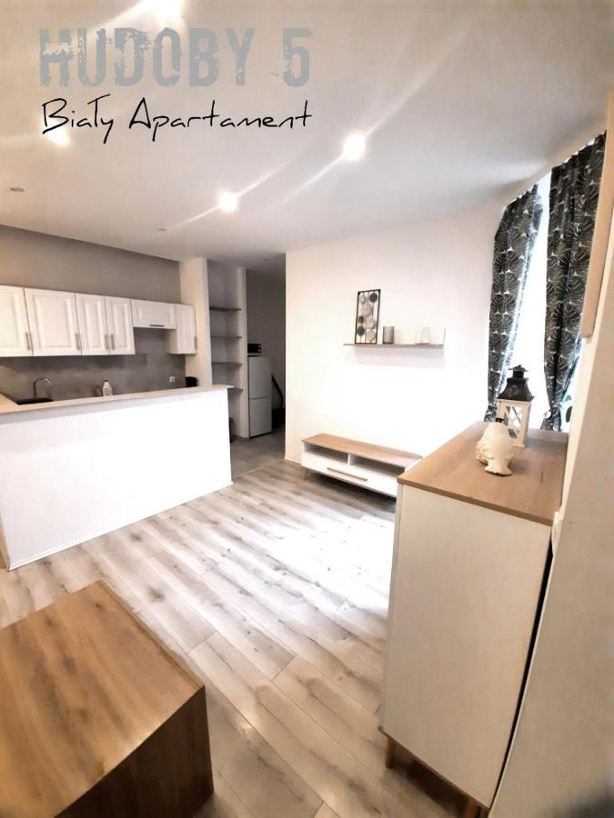 شقة Apartament Bialy Chudoby 5 غليفيتسه المظهر الخارجي الصورة
